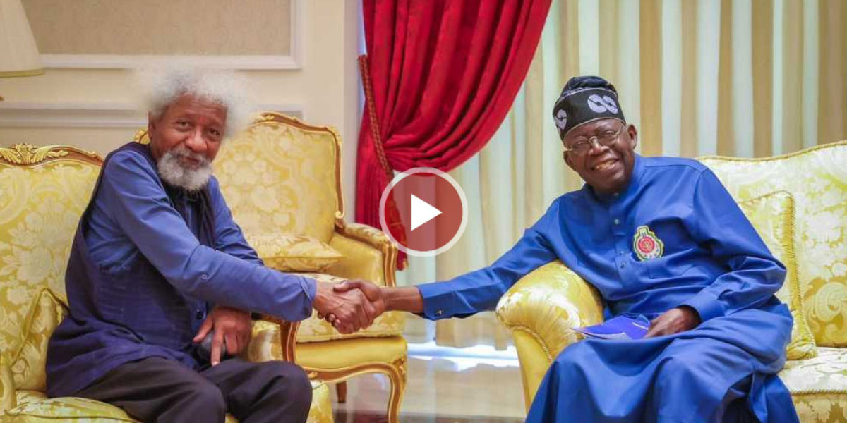 Soyinka Visits Tinubu, Says He’ll Assess President After One Year In Office